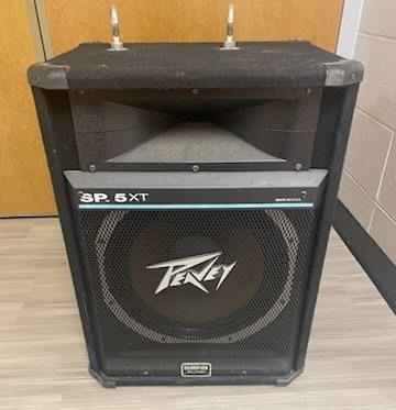 2 Peavey Speaker