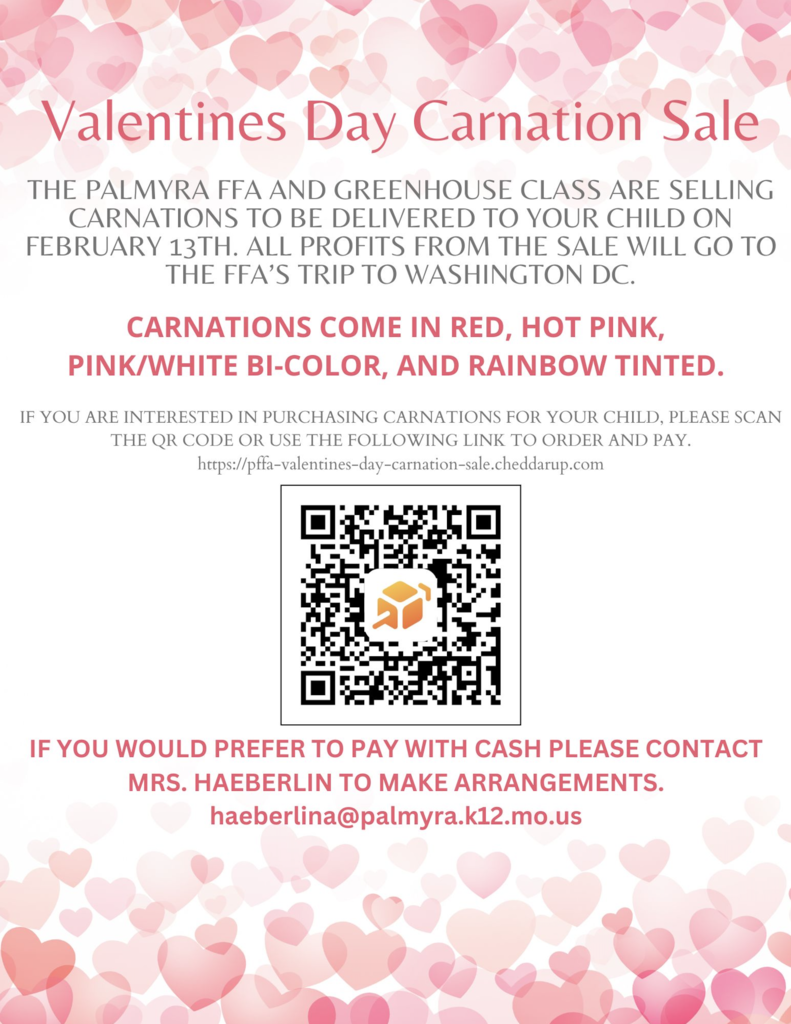 Valentine Carnation orders $2-$4 each