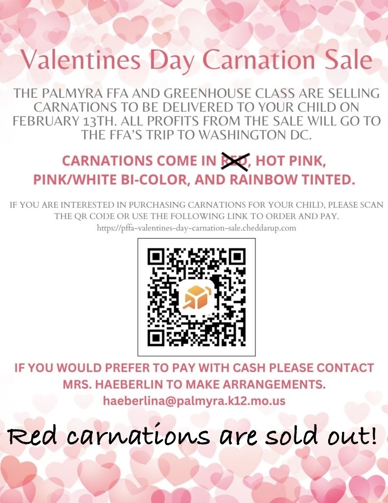 FFA Valentine Day carnation sale - scan QR code or order online