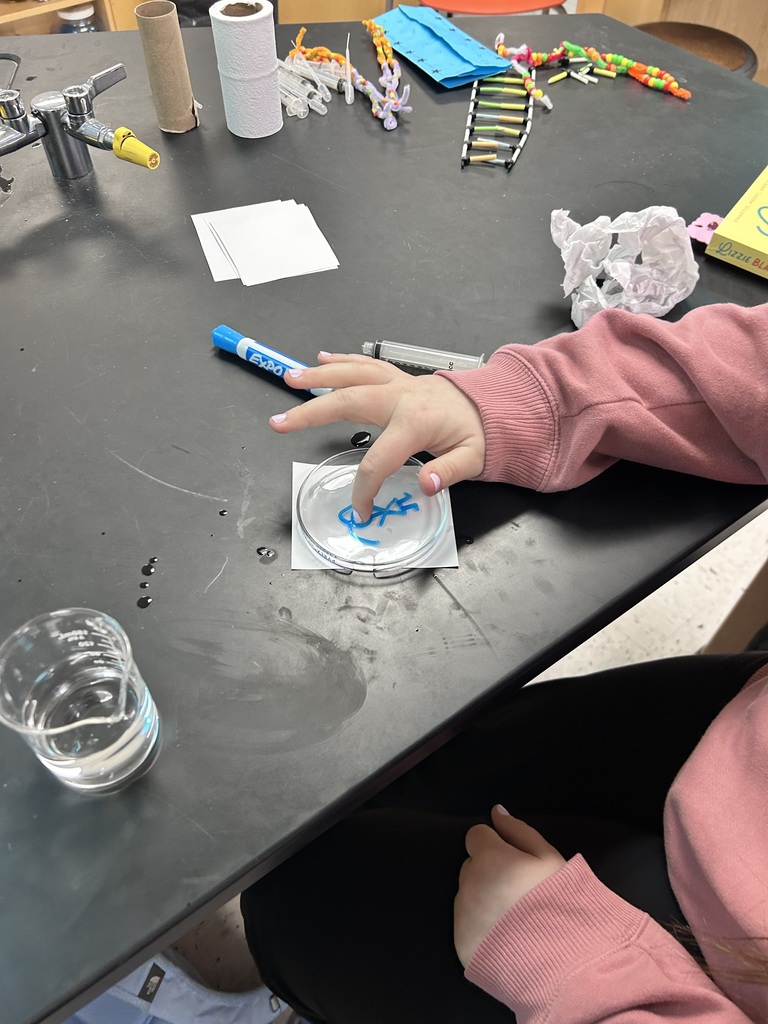 Integrated science class, student performs experiments