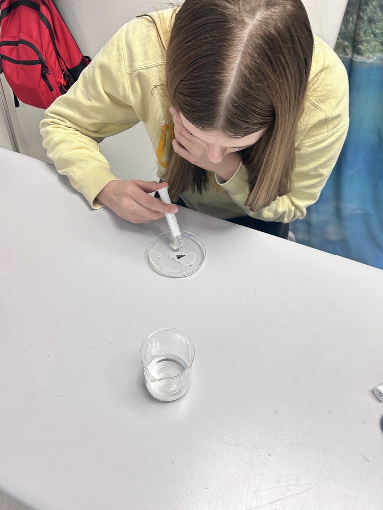 Integrated science class, student performs experiments