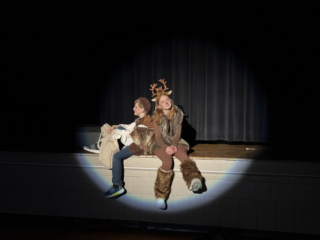 Frozen Jr performed by Palmyra Middle School