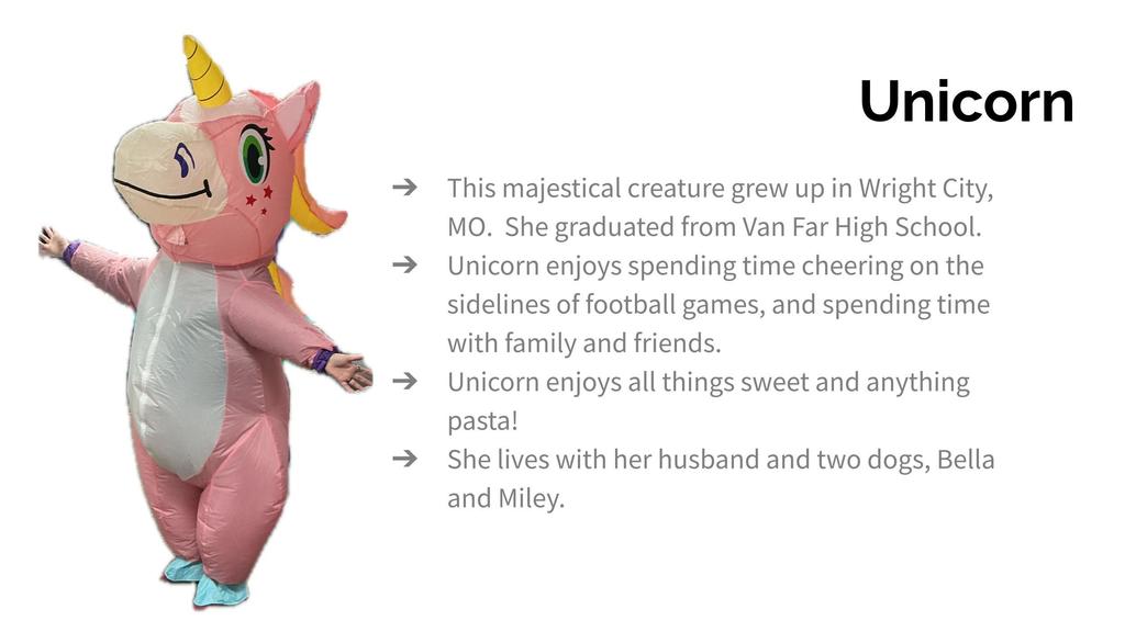 Unicorn masked reader