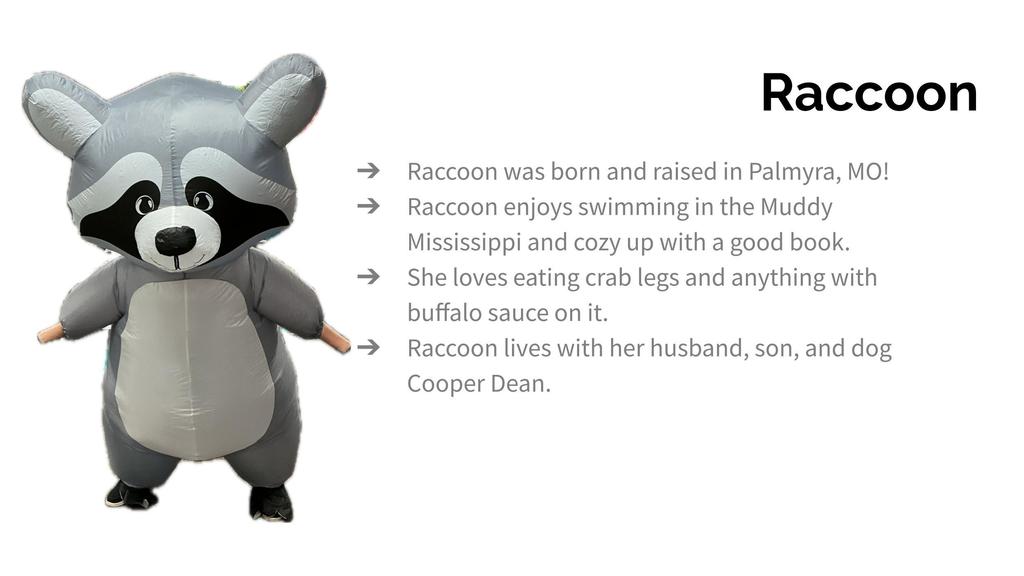 Raccoon masked reader