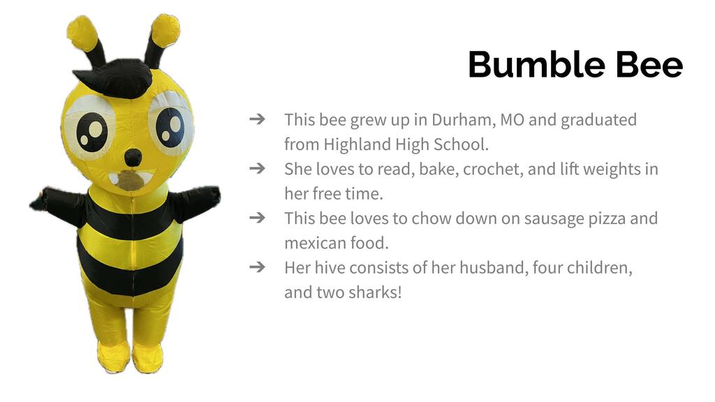 Bumble Bee masked reader