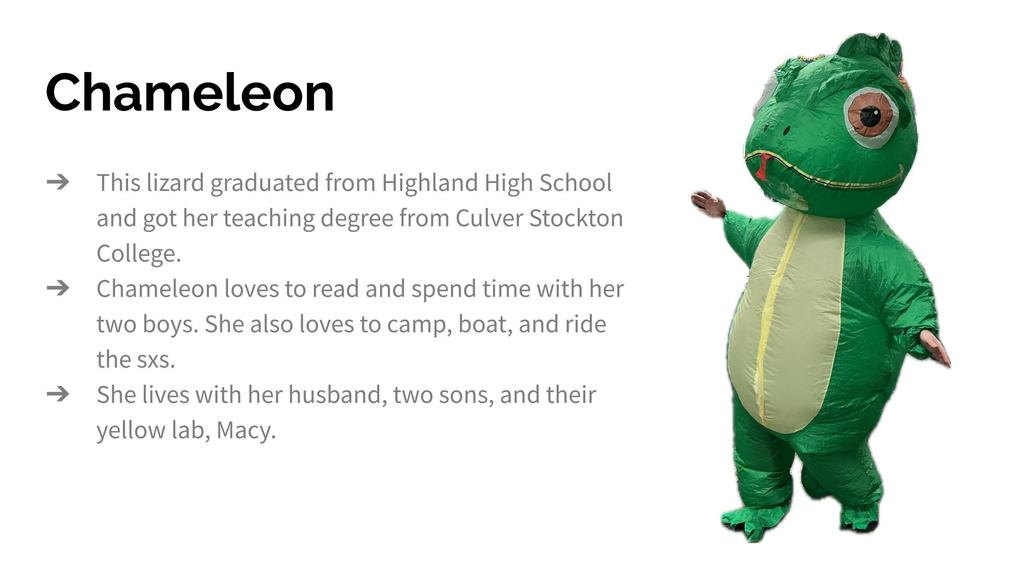 Chameleon masked reader