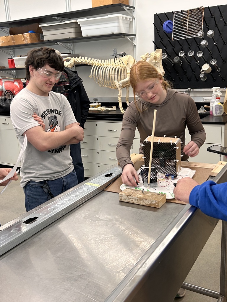 Students competing in Science Olympiad contest