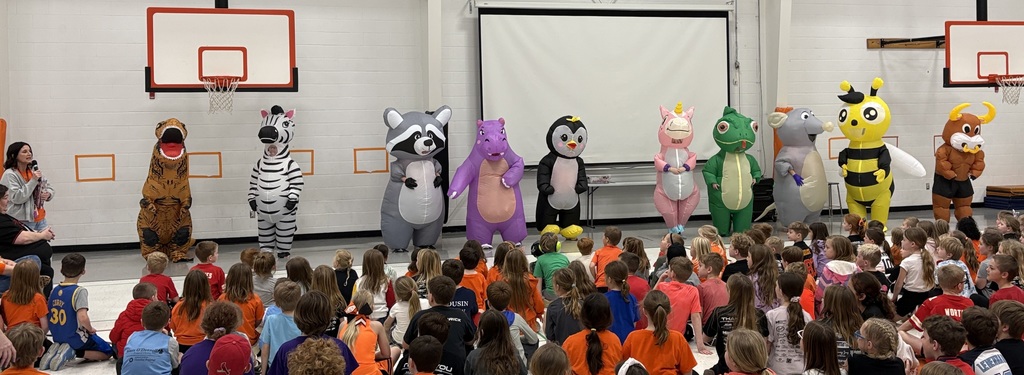 PES Masked reader reveal assembly