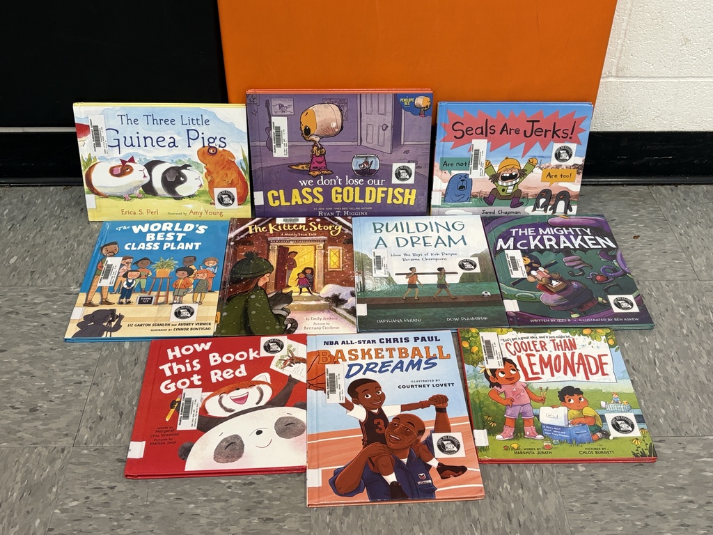 PES Masked reader reveal assembly