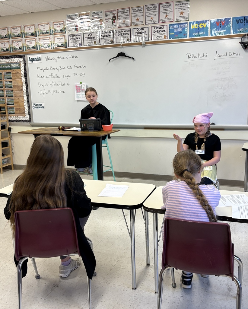 5th grade social studies mock trial witness
