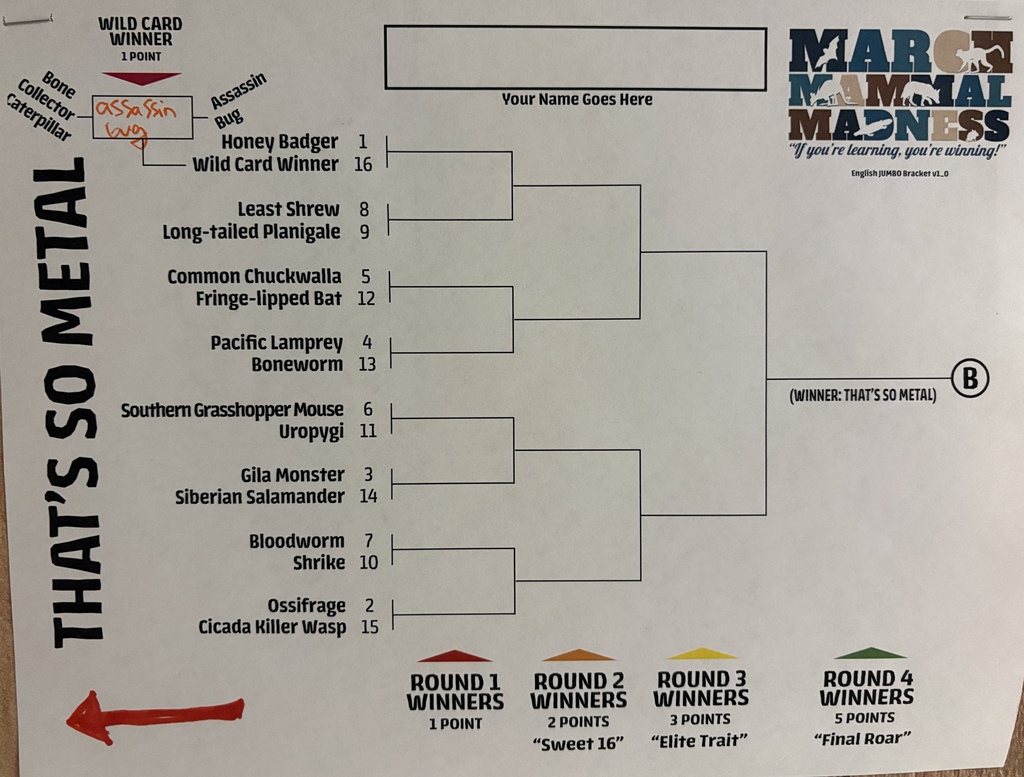 March Mammal Madness brackets