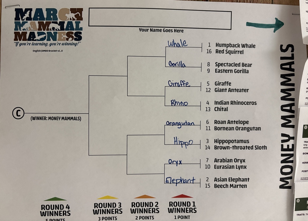 March Mammal Madness brackets