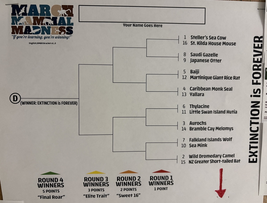 March Mammal Madness brackets