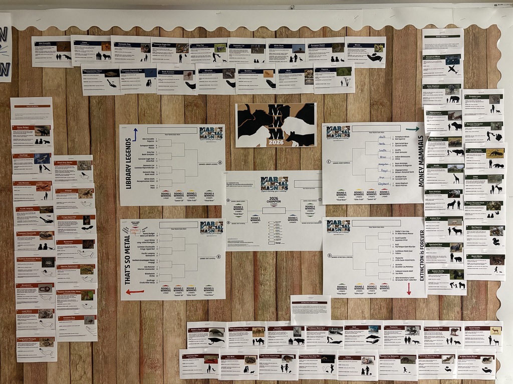 March Mammal Madness brackets