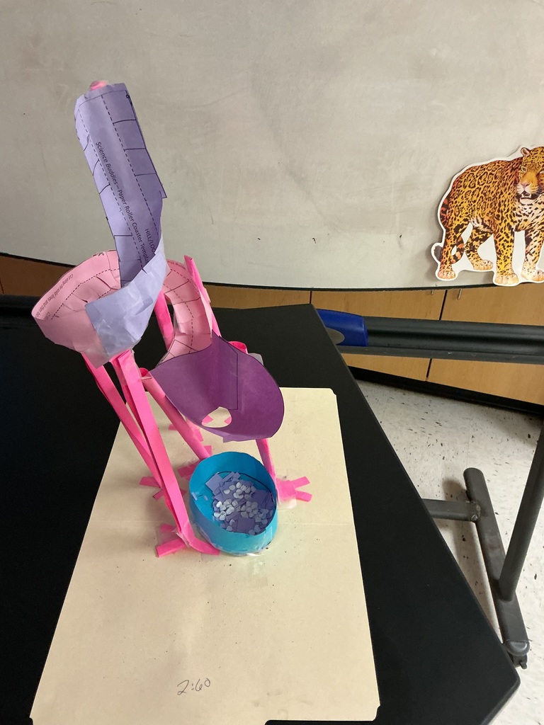 Integrated Science roller coaster project challenge