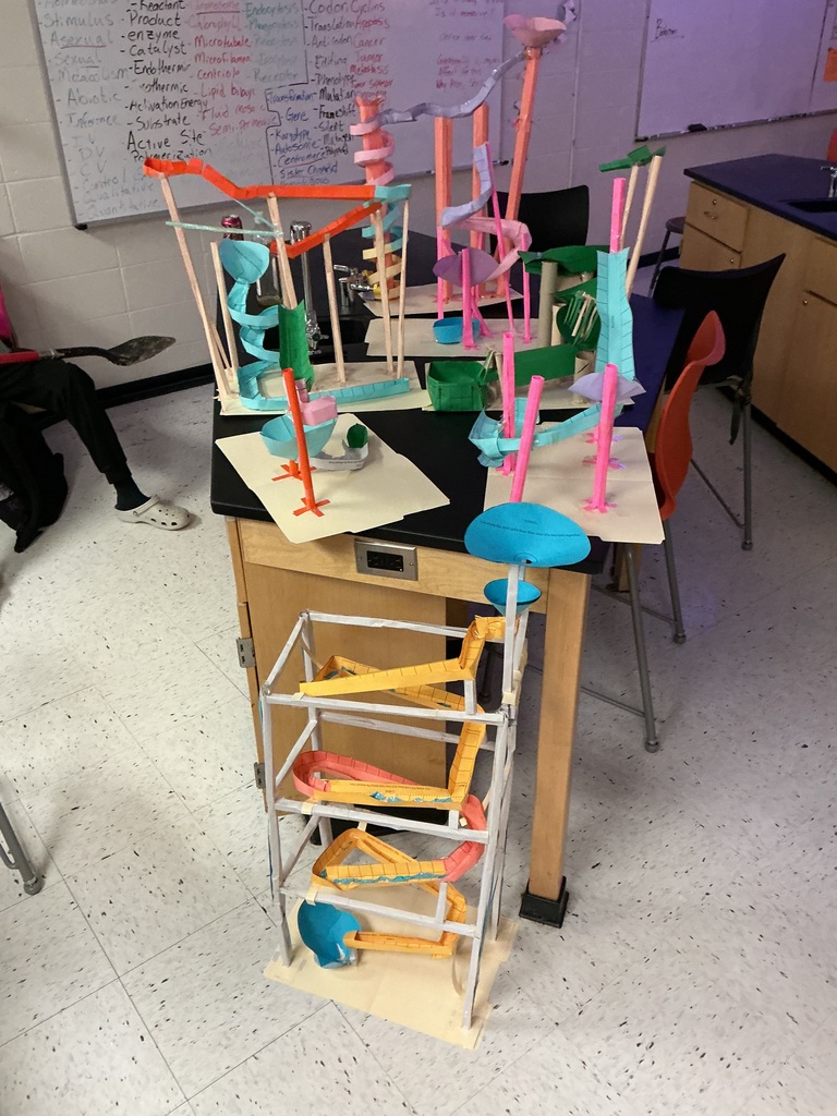 Integrated Science roller coaster project challenge