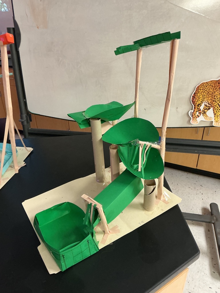 Integrated Science roller coaster project challenge