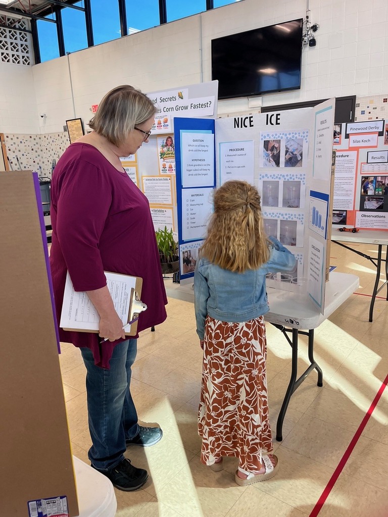 Science fair judge discusses project with student
