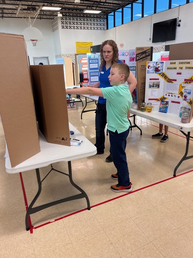 Science fair judge discusses project with student