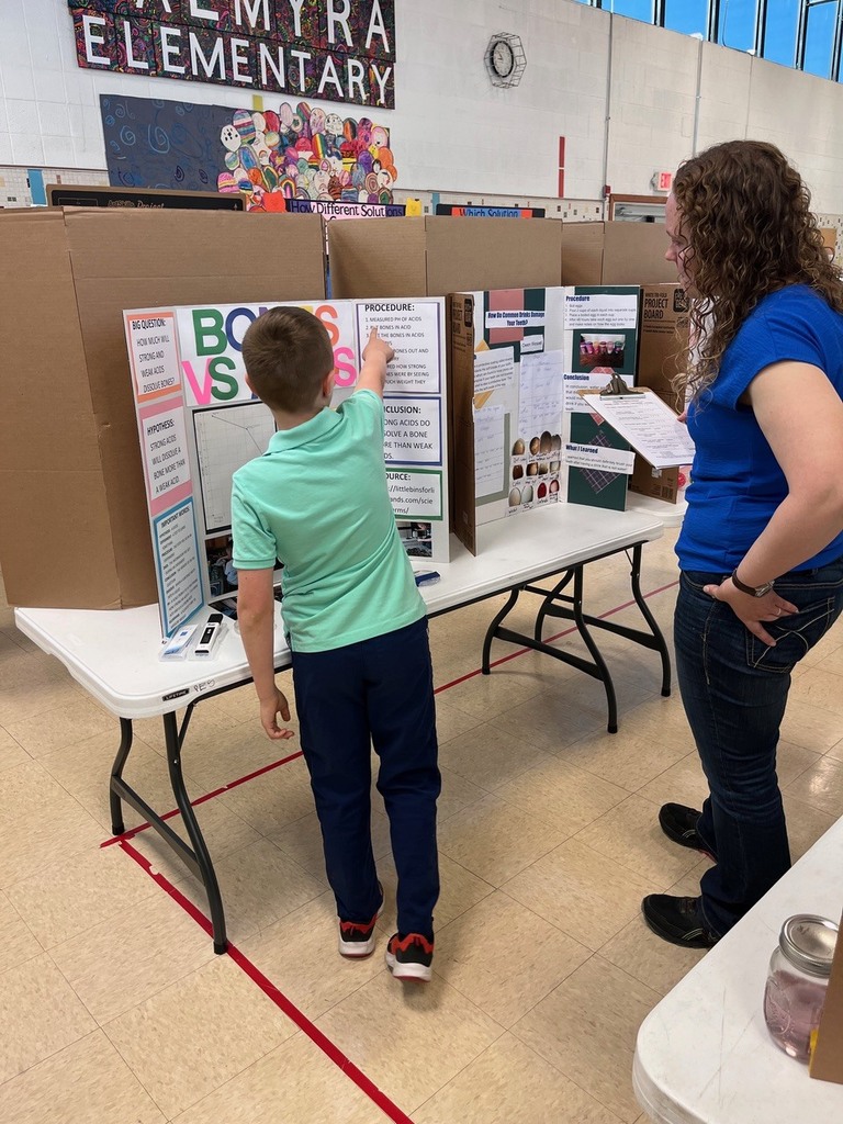 Science fair judge discusses project with student