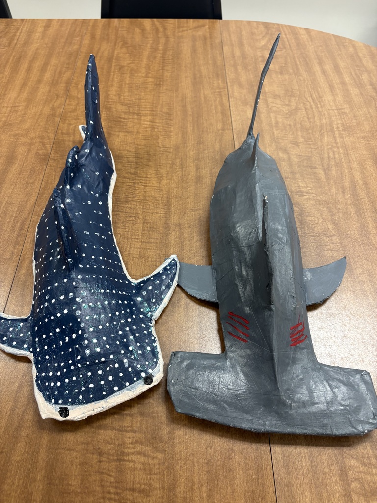 papier mache sharks created by earth science students
