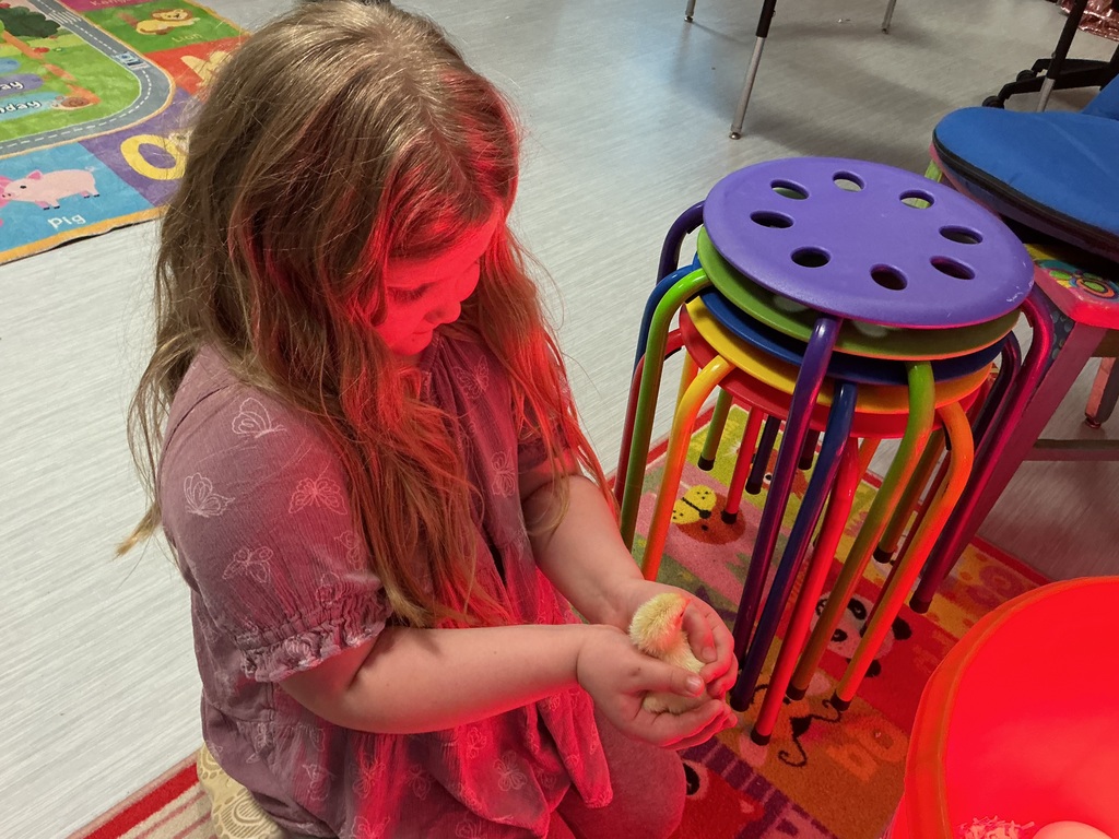 Kindergarten students enjoy holding baby chicks