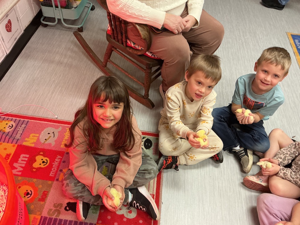 Kindergarten students enjoy holding baby chicks