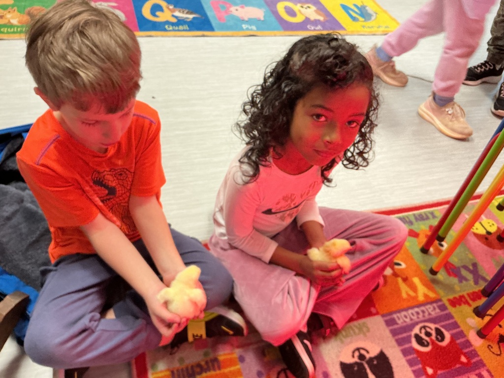 Kindergarten students enjoy holding baby chicks