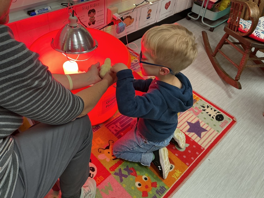 Kindergarten students enjoy observing baby chicks