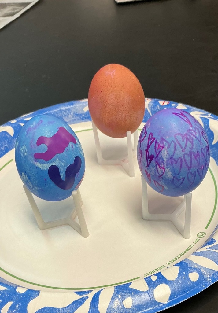 eggs dyed by Integrated Science