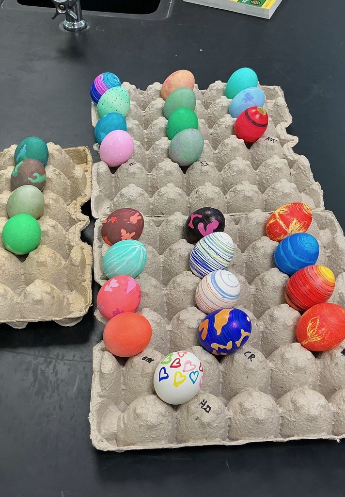 eggs dyed by Integrated Science