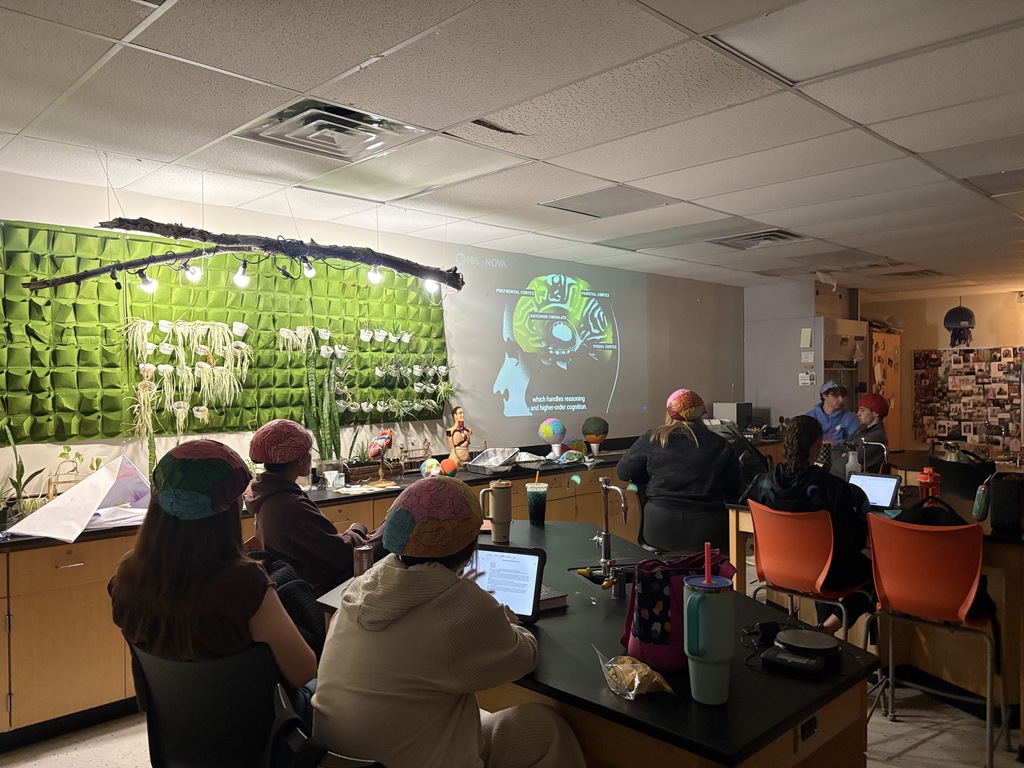 students in science class watch video about brains