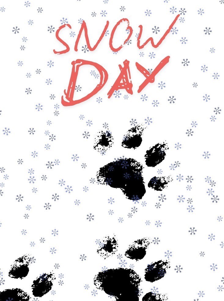 No school graphic, snow day, panther tracks in the snow