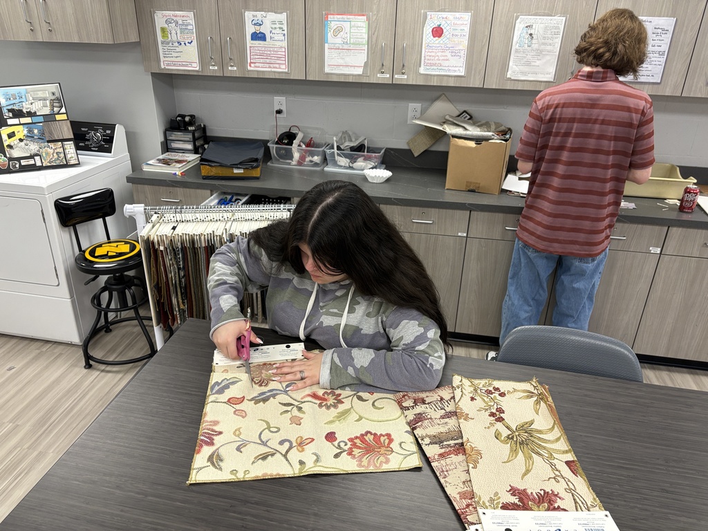 Interior design class using samples to design their model air bnbs