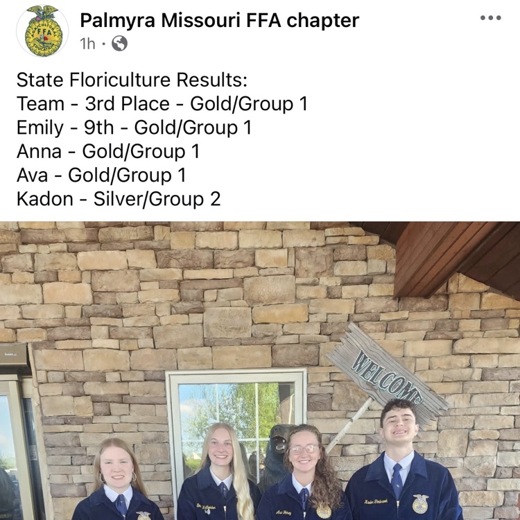 ffa state teams