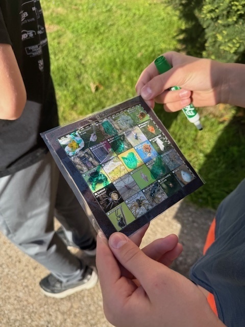 pictures of different spiders students are using to identify them in nature