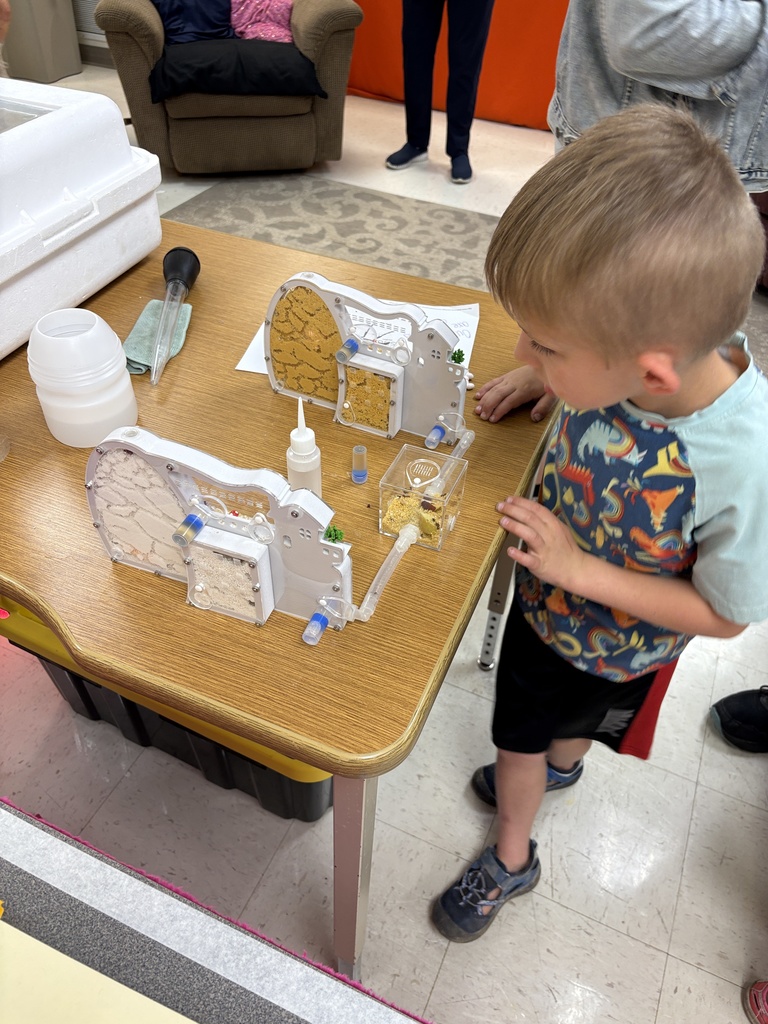 PACE open house ant farm display