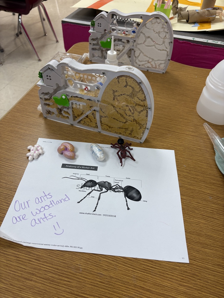 PACE open house ant farm display