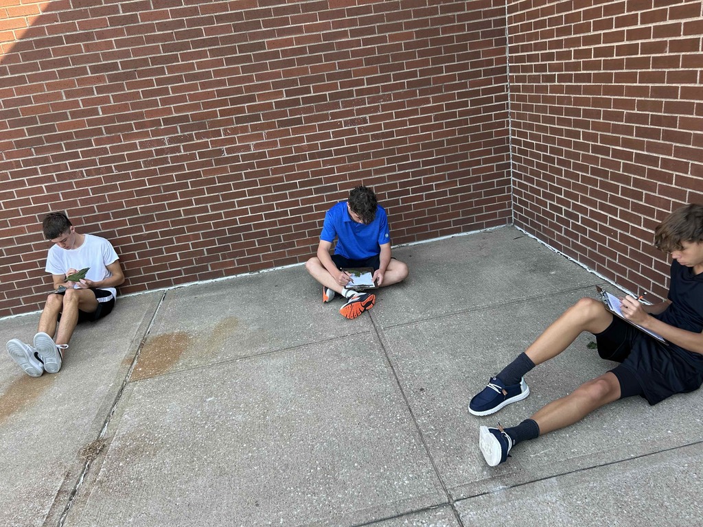 Biology students observing leaves lab