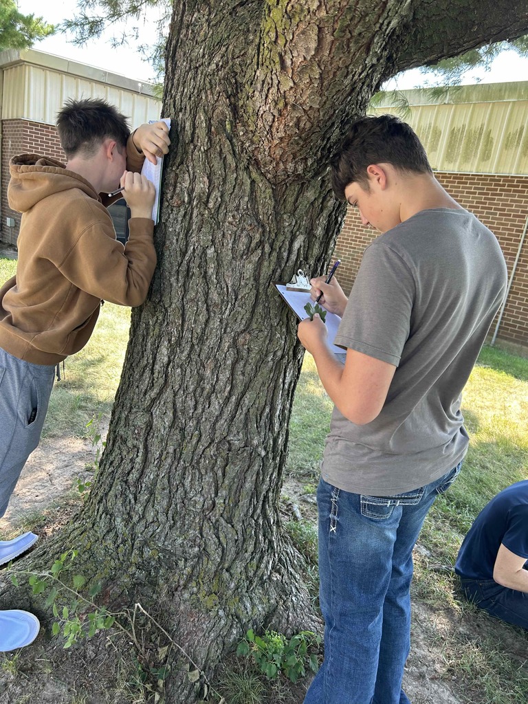 Biology students observing leaves lab