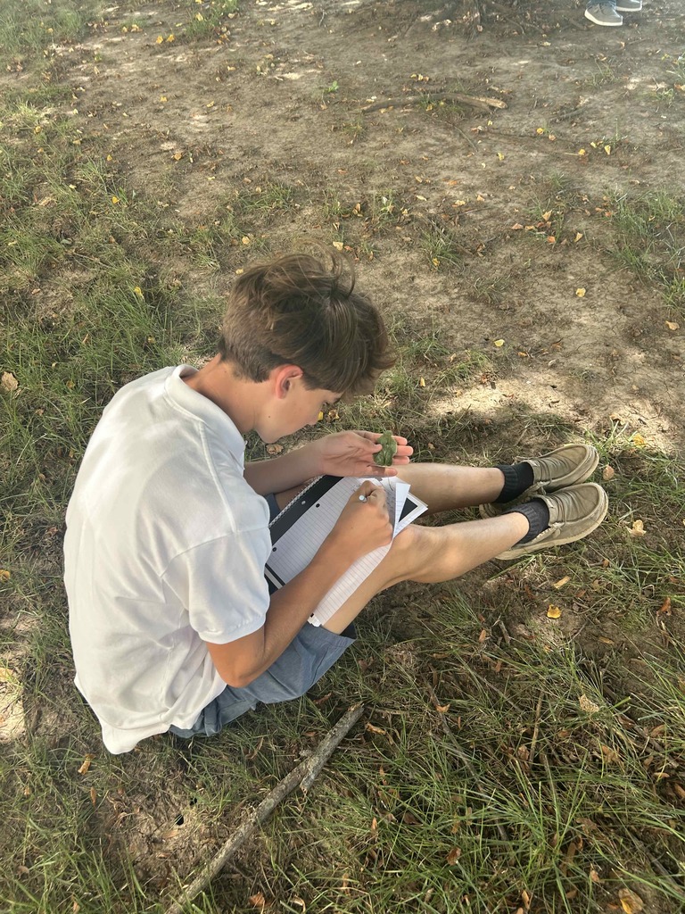 Biology students observing leaves lab