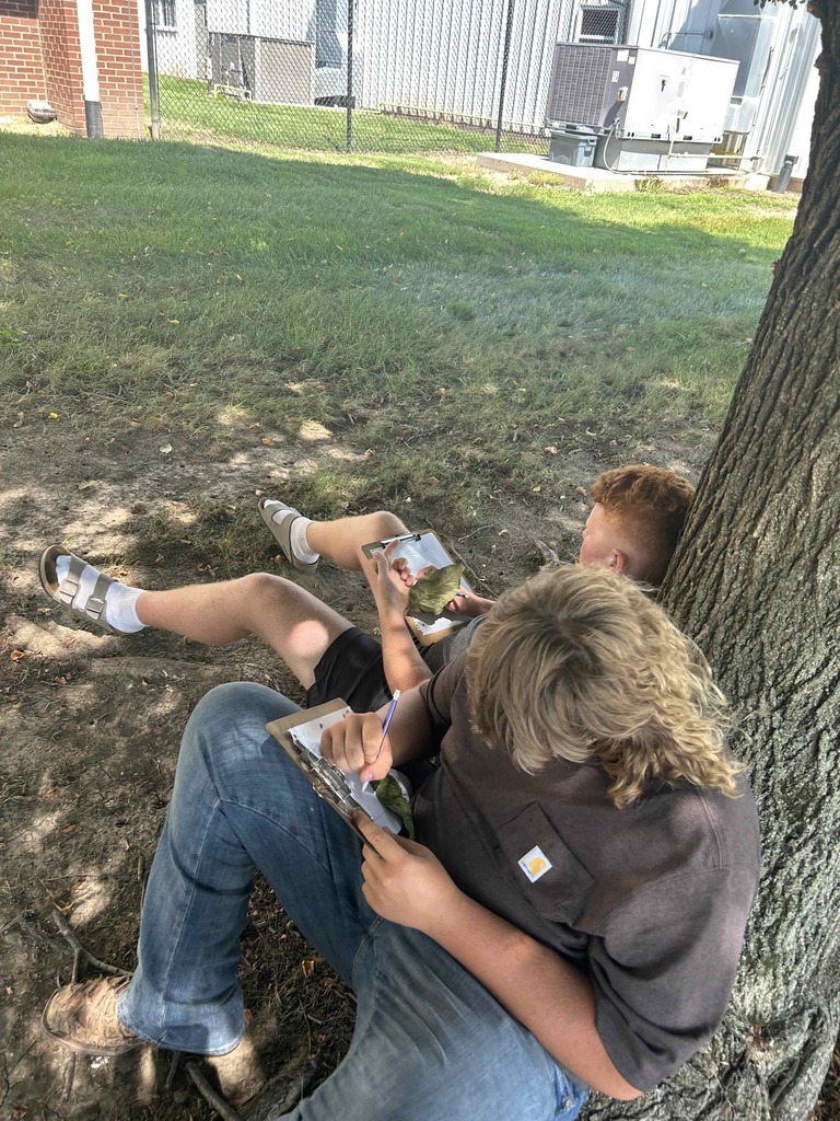 Biology students observing leaves lab