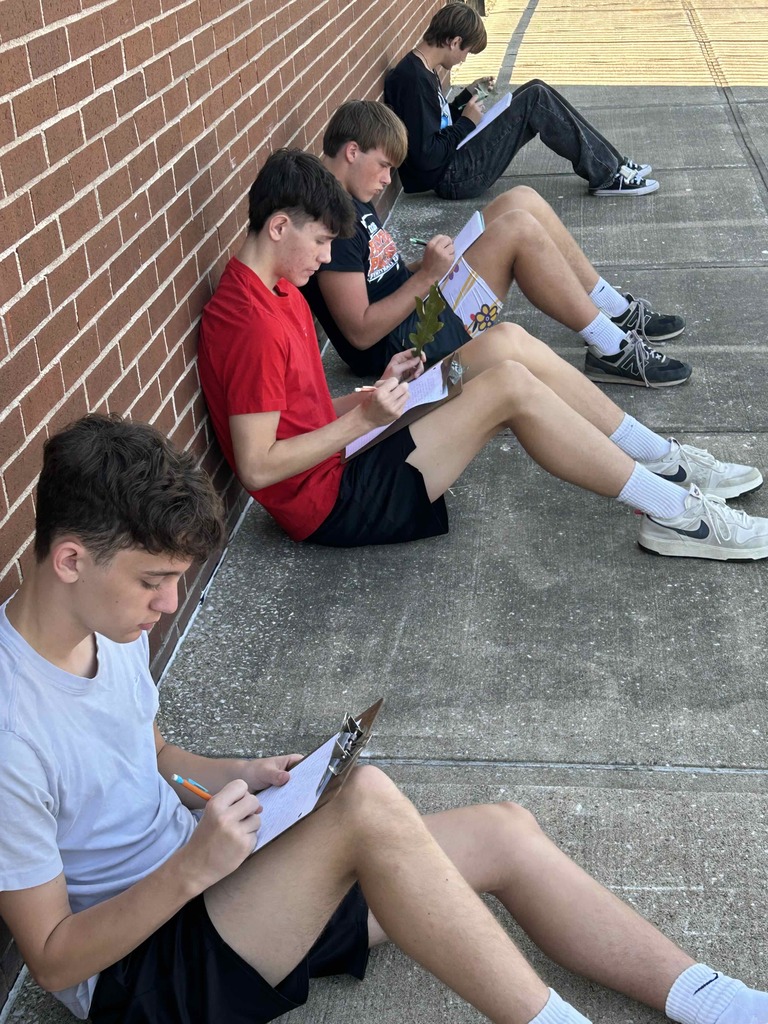 Biology students observing leaves lab