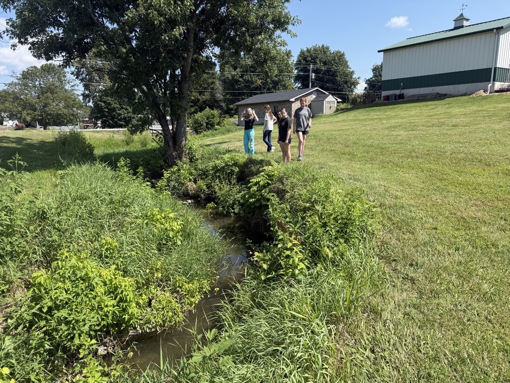 4 students observing habitat in creek near middle school