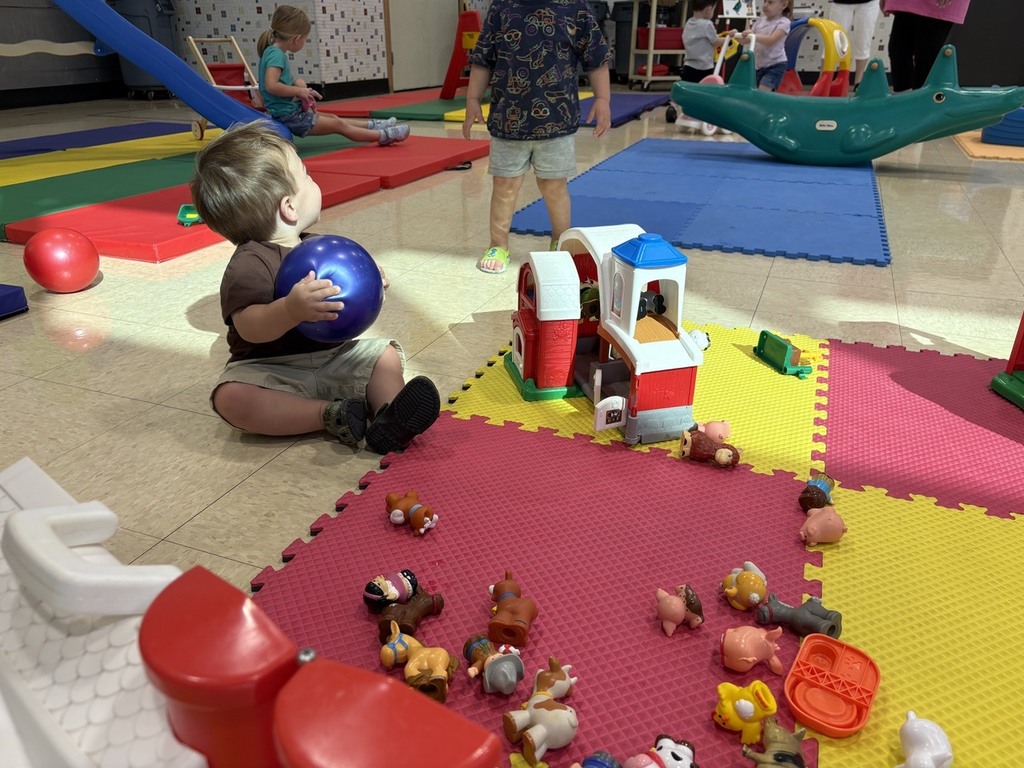 PAT playgroup participants playing with balls and farm toys