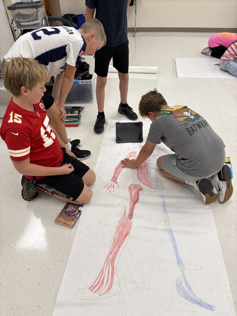 students drawing the skeletal and muscular system on large sheets of paper