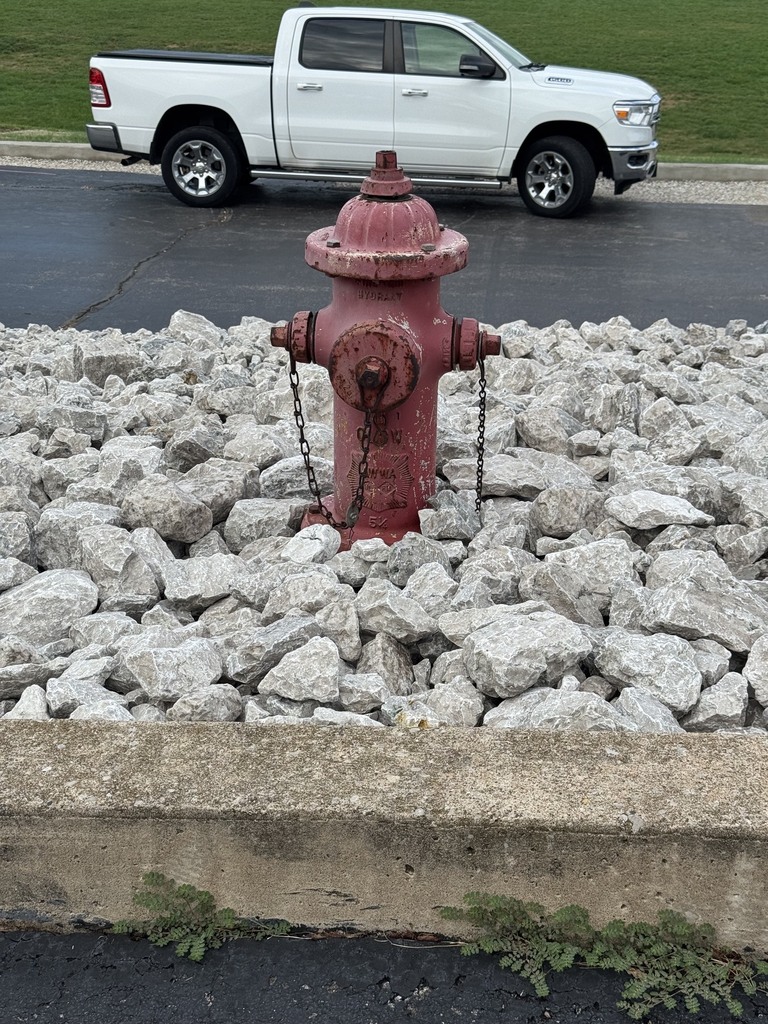 fire hydrant in rock garden behind middle school