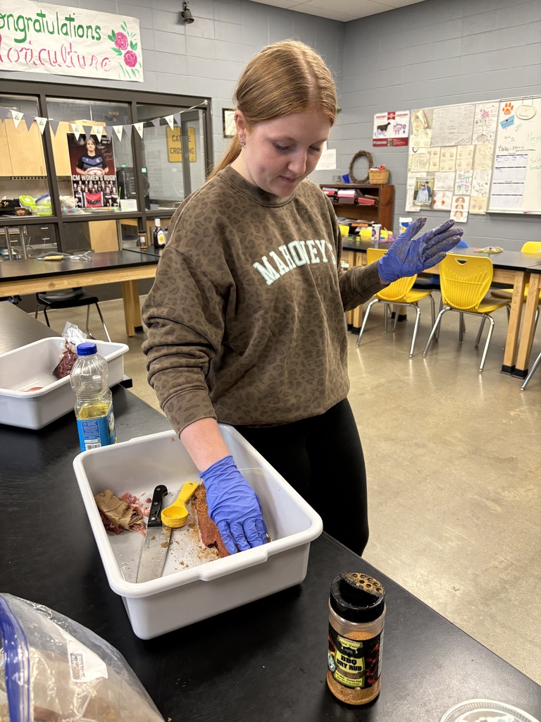 student marinating wild boar to smoke