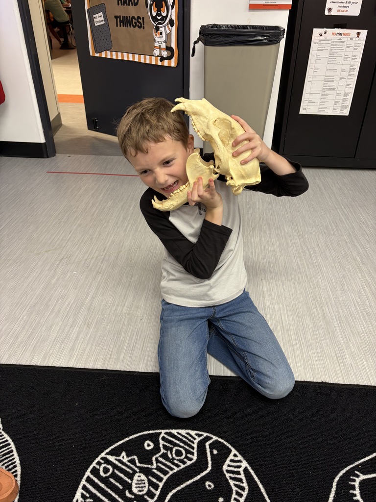 student holding bear skull by head to compare size