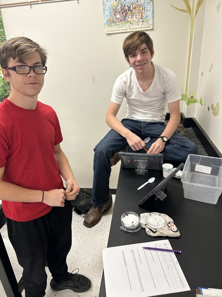 high school students observing the behavior of isopods in different environments